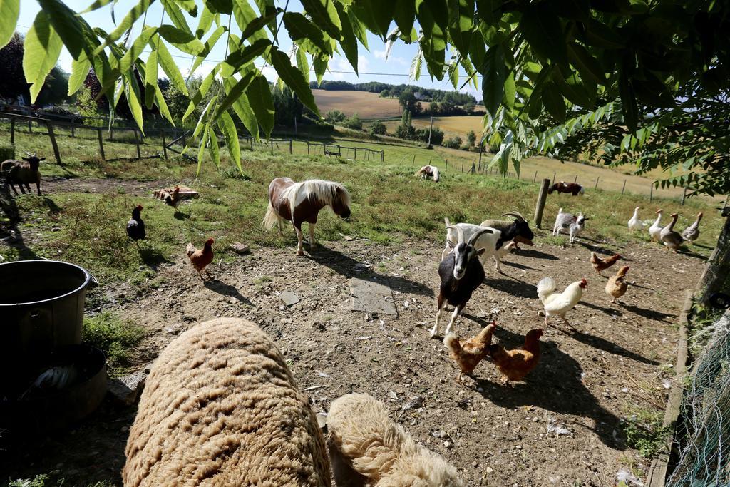 La Ferme Couderc Villa Castelnaud-de-Gratecambe Екстериор снимка