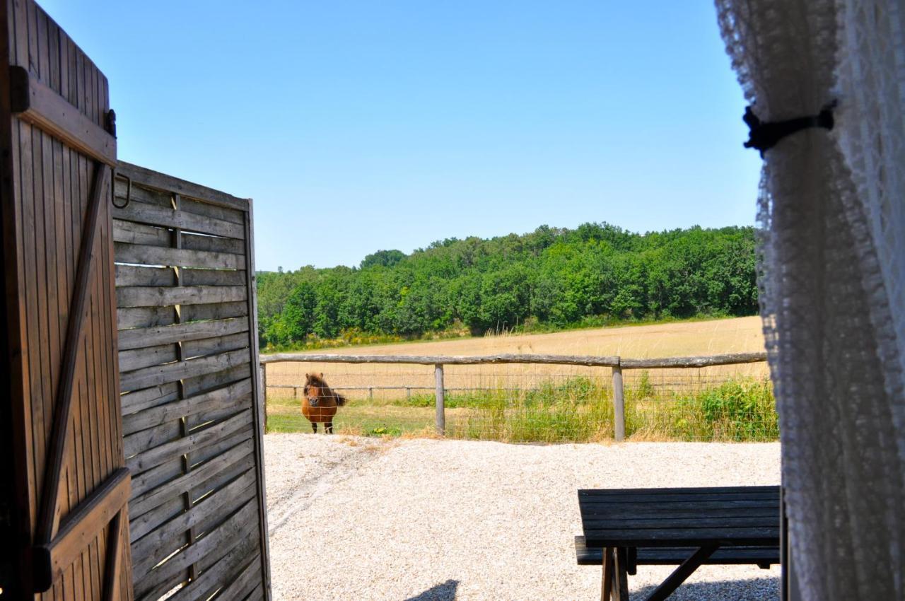 La Ferme Couderc Villa Castelnaud-de-Gratecambe Екстериор снимка